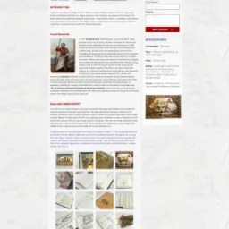 Projekt strony internetowej wydawnictwa z motywami arabskimi, prezentującego historię i kulturę koni arabskich oraz manuskrypty.