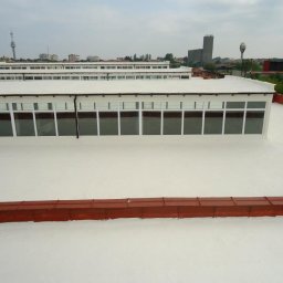 Plynnaguma.pl - Naprawa dachów Falęcice
