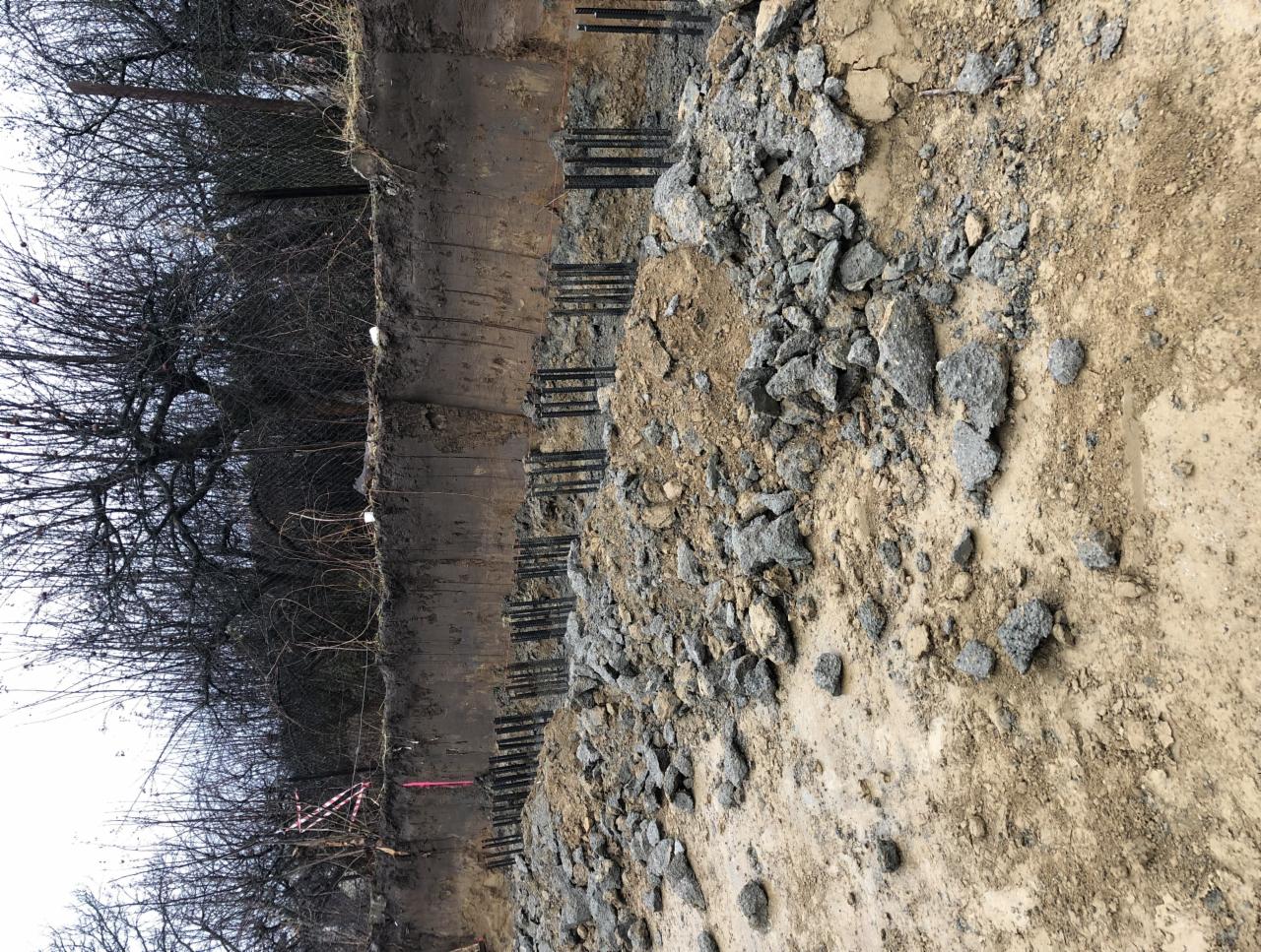 Wykop z pionowymi prętami zbrojeniowymi, częściowo zasypany gruzem, widok z góry na placu budowy, w tle drzewa bez liści.