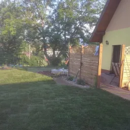 Świeżo założony trawnik z rolki przy domu z drewnianym płotem i brukowanym chodnikiem.