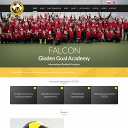 Strona firmowa – Falcon Academy. Link: garmax.pl/realizacje/falcon-academy/