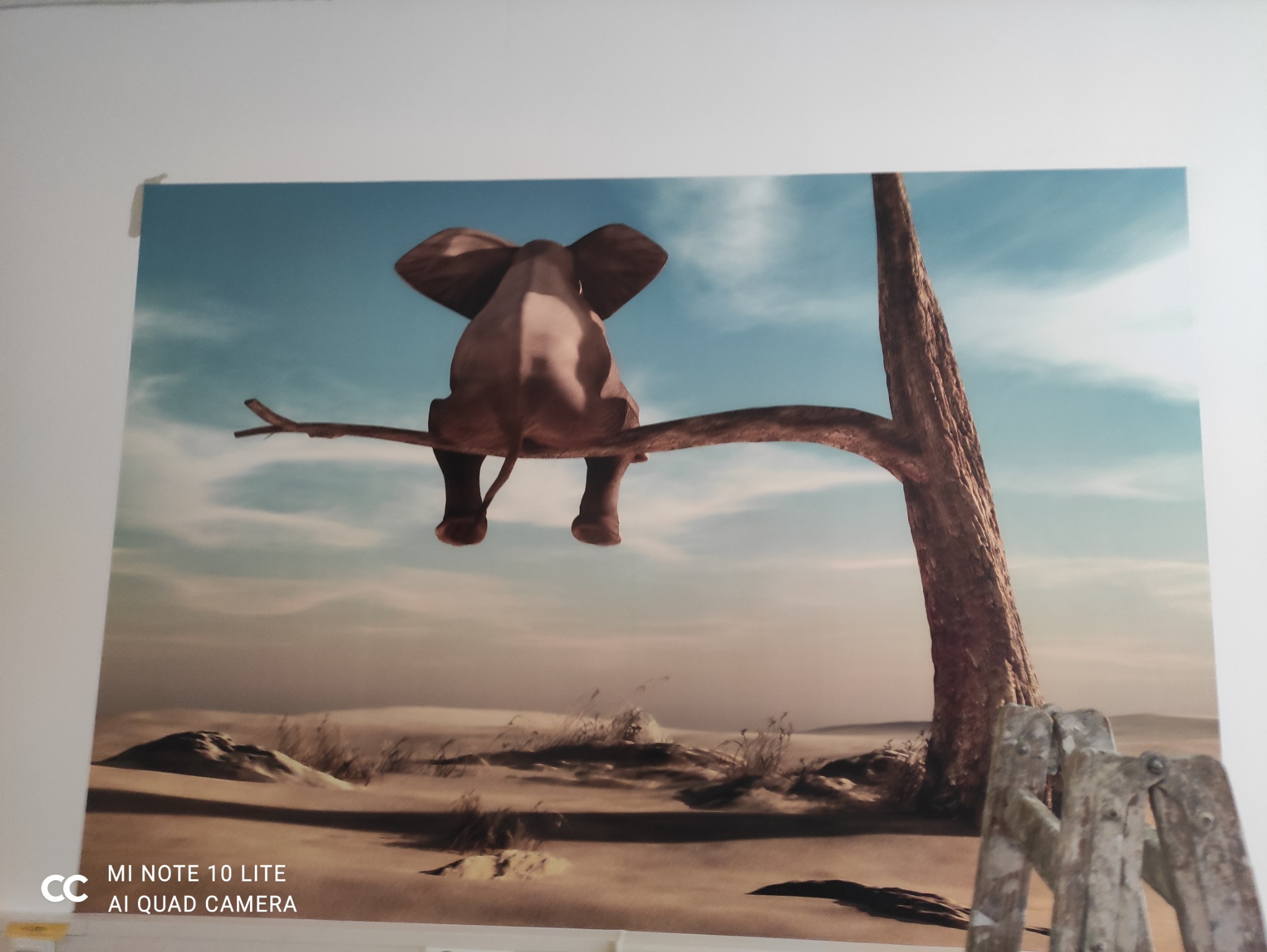 Plakat na ścianie: słoń siedzący tyłem na gałęzi drzewa na tle pustynnego krajobrazu i błękitnego nieba. U dołu fragment drabiny.