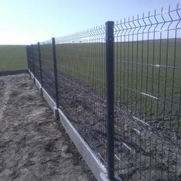 Wycinka drzew Toruń 3