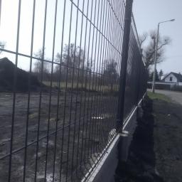 Wycinka drzew Toruń 2