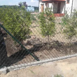 Zielona siatka ogrodzeniowa z podmurówką betonową, za nią posadzone młode drzewka na tle domu jednorodzinnego.