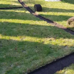 Przygotowane podłoże i zwinięte rolki trawy na trawniku, widok z perspektywy ziemi, w tle drzewo iglaste.