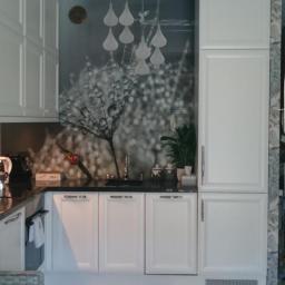 Szklarz Dębe Wielkie 3