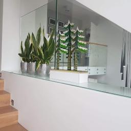 MEGA BUD Arkadiusz Zakrzewski - Szklana balustrada na schodach, trzy srebrne doniczki z zielonymi roślinami i dekoracyjne drewniane drzewka w białej skrzynce.