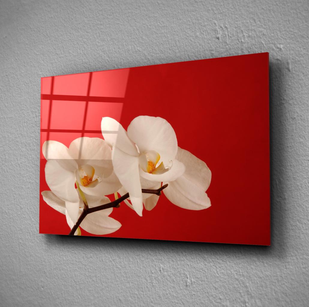 Szklany obraz z motywem białych orchidei na intensywnie czerwonym tle, wiszący na szarej ścianie z widocznymi refleksami świetlnymi.