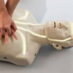 Profesjonalny sprzęt do przeprowadzania szkoleń z zakresu pierwszej pomocy