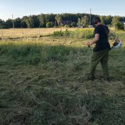 Wycinka drzew Gorzów Wielkopolski 3