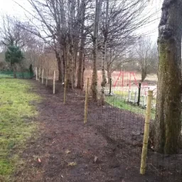 Nowo postawione ogrodzenie z siatki leśnej z drewnianymi słupkami, biegnące wzdłuż rzędu drzew na granicy działki z placem zabaw w tle.