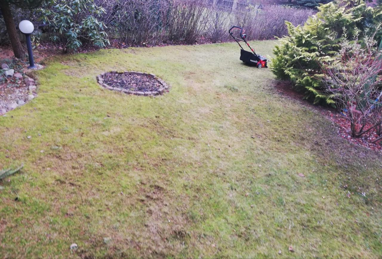 Trawa z widocznymi śladami po koszeniu, kępki niekoszonej trawy, z boku kosiarka elektryczna, w tle krzewy i lampa ogrodowa.