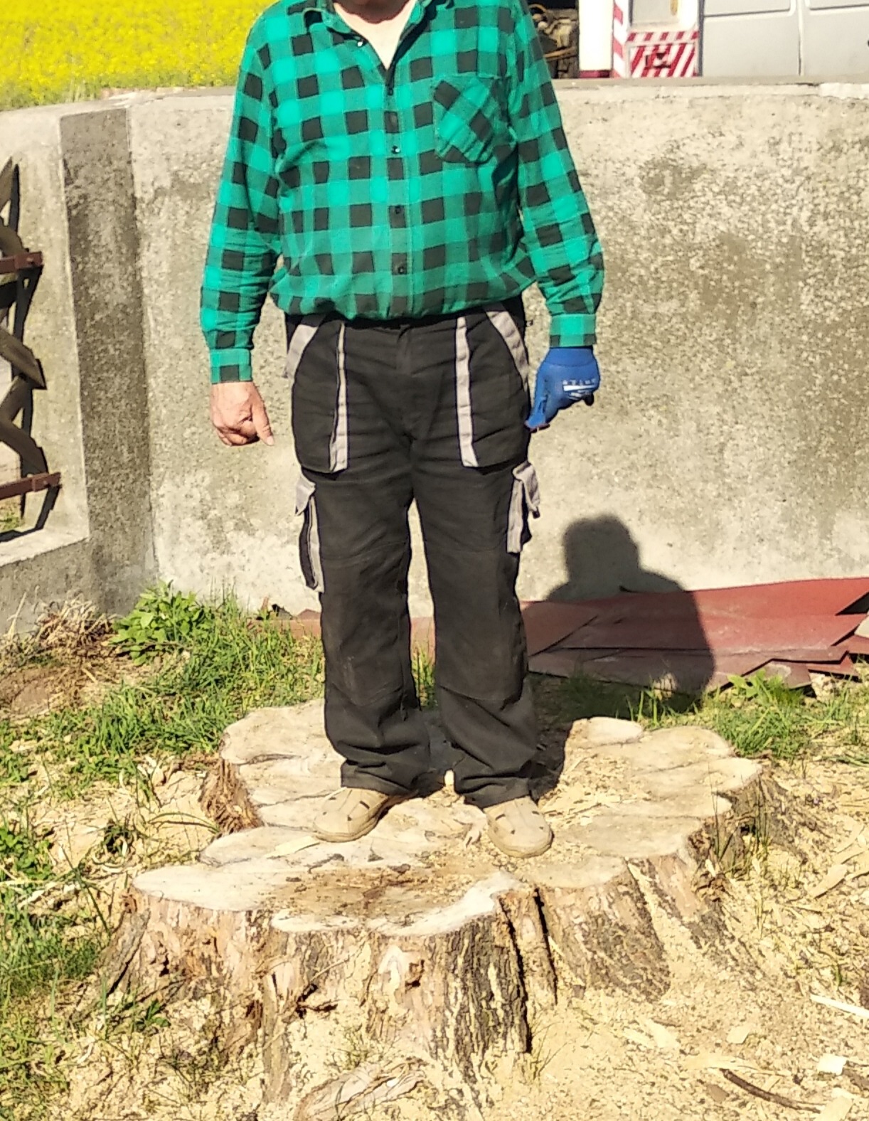 Mężczyzna w zielonej koszuli w kratę i roboczych spodniach stoi na ściętym pniu drzewa, jedna rękawica robocza na dłoni, tło to betonowy mur i żółte kwiaty.