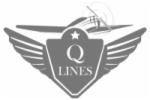Szary emblemat firmy transportowej Q LINES z wizerunkiem samolotu w tle.