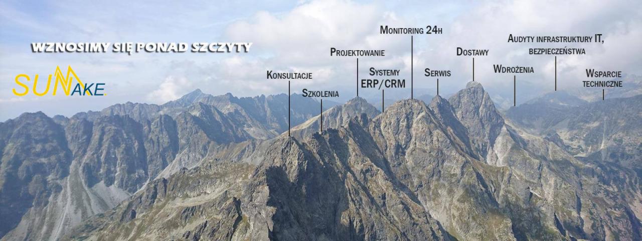 Górski krajobraz z naniesionymi nazwami usług IT: Projektowanie, Monitoring 24h, Dostawy, Audyty infrastruktury IT i bezpieczeństwa, Konsultacje, Systemy ERP/CRM, Serwis, Wdrożenia, Wsparcie...