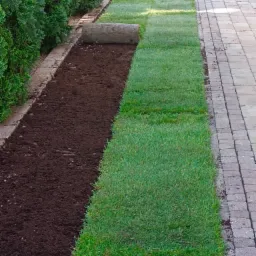 Układanie trawy z rolki wzdłuż ścieżki z kostki brukowej, widoczny fragment rolki trawy i przygotowana ziemia.
