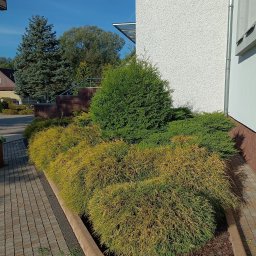 Pielęgnacja ogrodów Bochnia 3