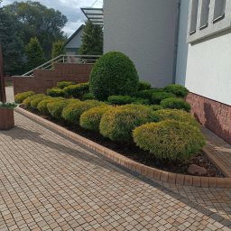 Pielęgnacja ogrodów Bochnia 4