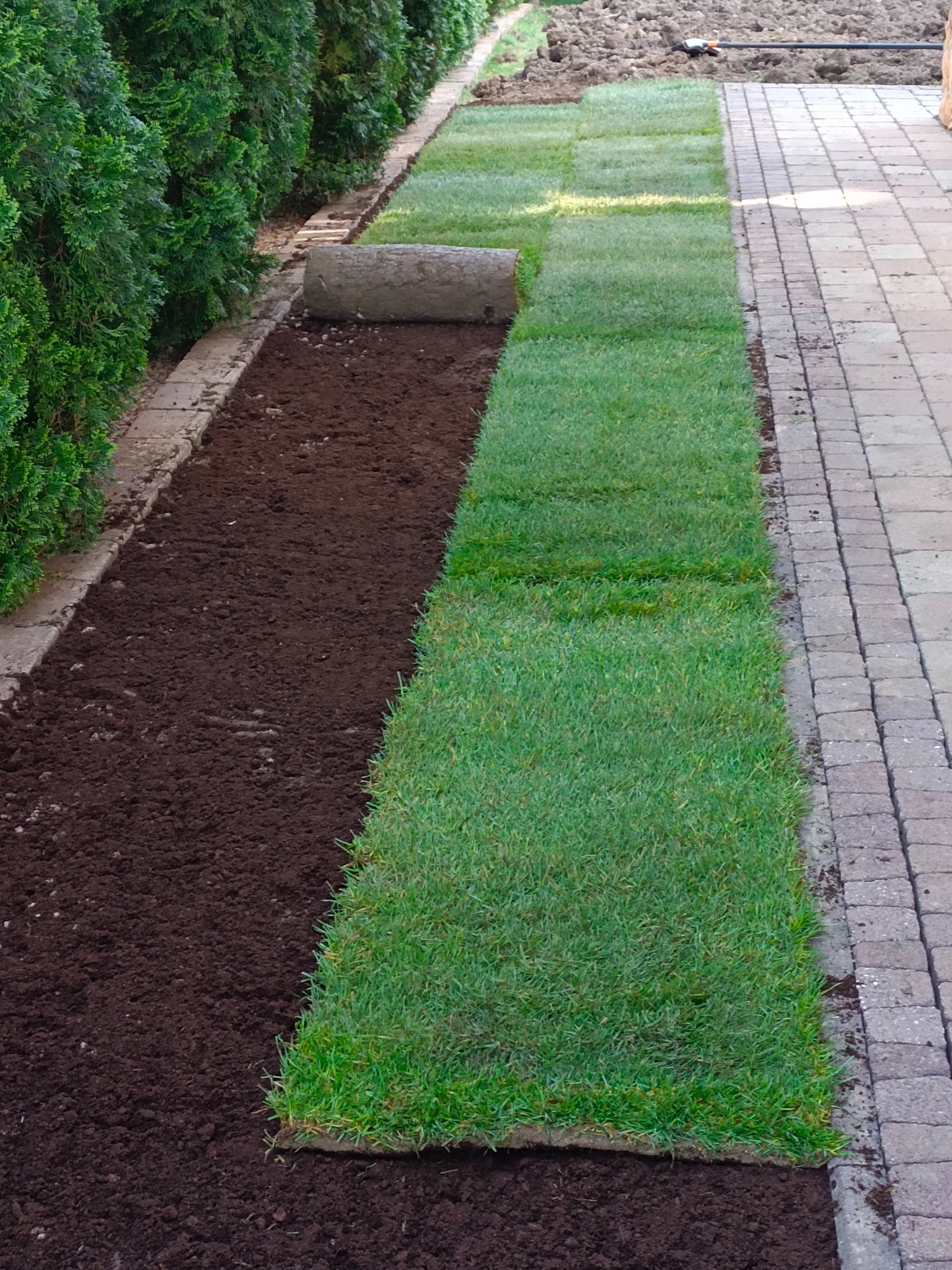 Układanie trawy z rolki wzdłuż ścieżki z kostki brukowej, widoczny fragment rolki trawy i przygotowana ziemia.