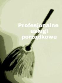 Tidy Team Marlena Kozera - Mycie okien w firmie Warszawa