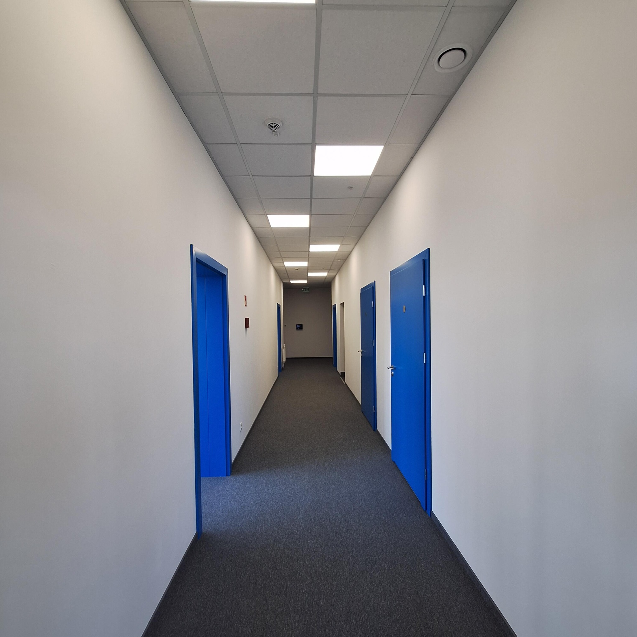 Długi korytarz biurowy z szarą wykładziną i białymi ścianami, akcentowany niebieskimi drzwiami. Widoczne oświetlenie sufitowe i detektor dymu.