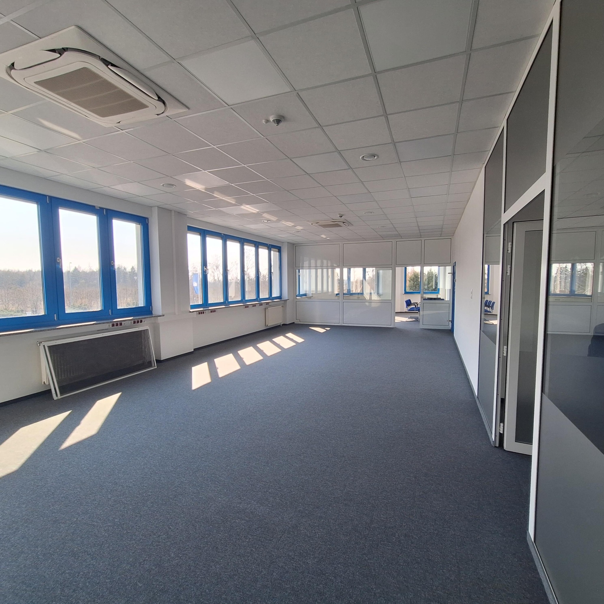 Jasne biuro po remoncie: szara wykładzina, niebieskie ramy okien, białe ściany i sufit kasetonowy z klimatyzacją. Widoczne promienie słoneczne na podłodze.
