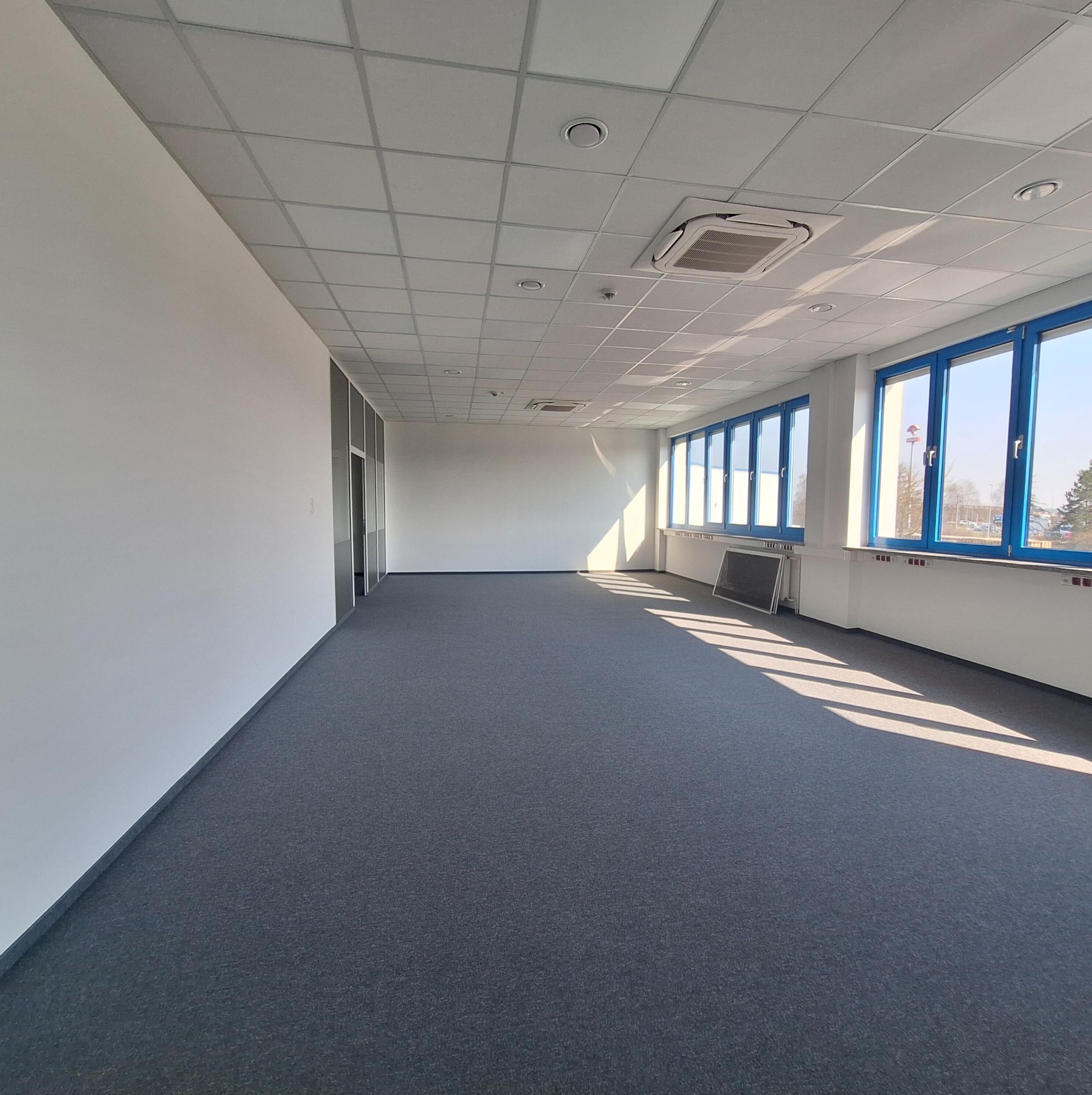 Jasne biuro z szarą wykładziną, białymi ścianami i rzędem okien z niebieskimi ramami. Widoczne kratki wentylacyjne na suficie i promienie słoneczne wpadające przez okna.