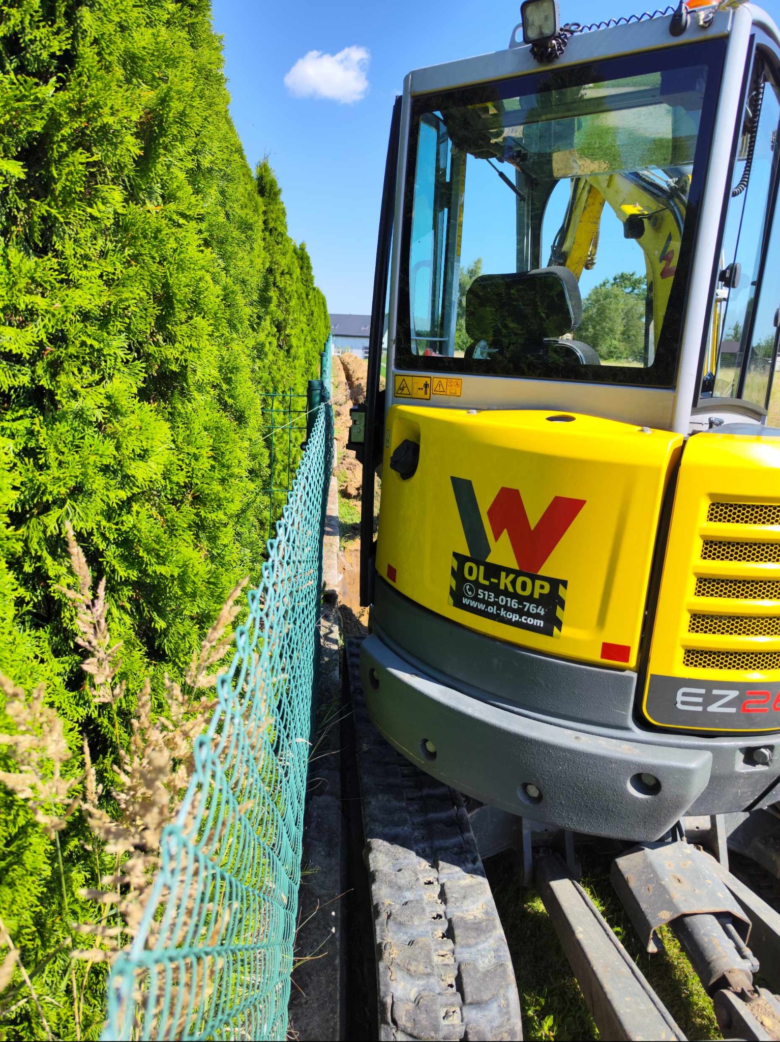 Żółta mini koparka gąsienicowa marki Wacker Neuson EZ26 wykonuje wąski wykop wzdłuż żywopłotu i ogrodzenia z siatki.