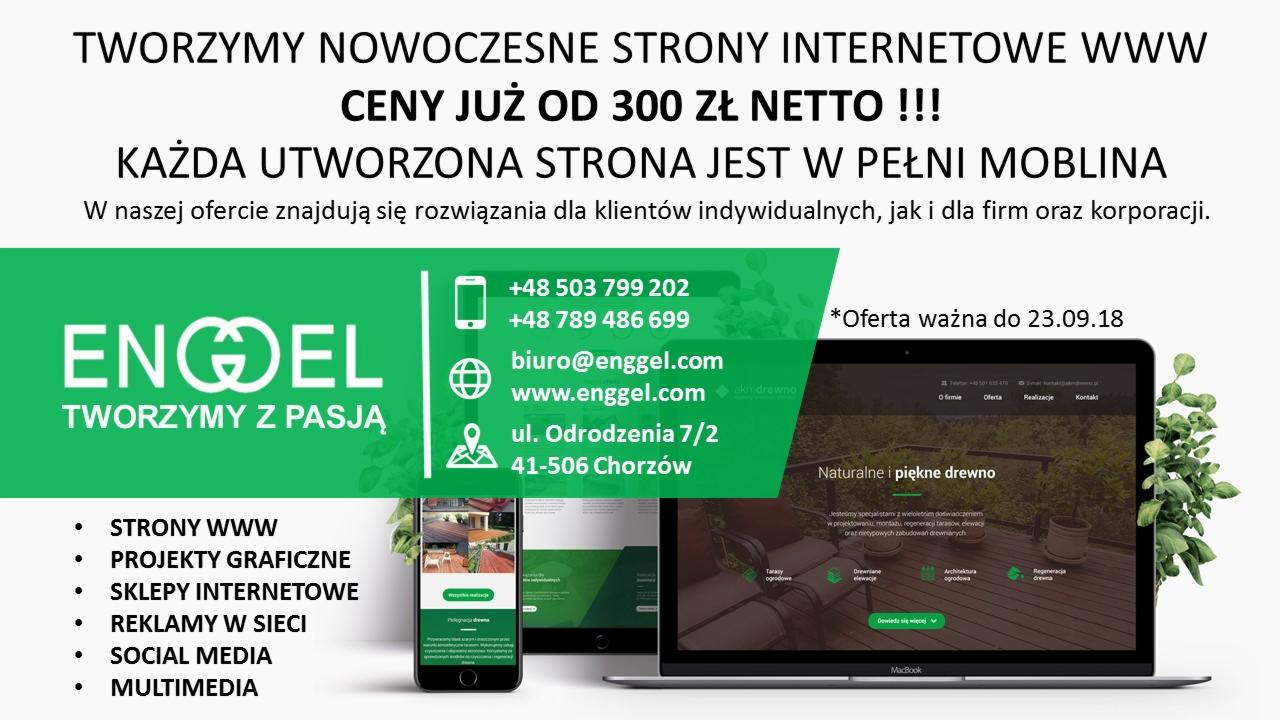 Grafika reklamowa firmy Engel prezentująca ofertę tworzenia nowoczesnych stron internetowych, widoczny laptop i smartfon z przykładowymi realizacjami, zieleń w tle.