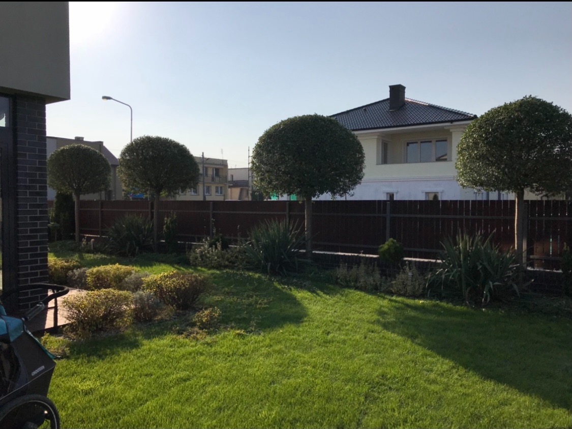 Pielęgnacje całosezonowe (Formowanie drzew i krzewów).