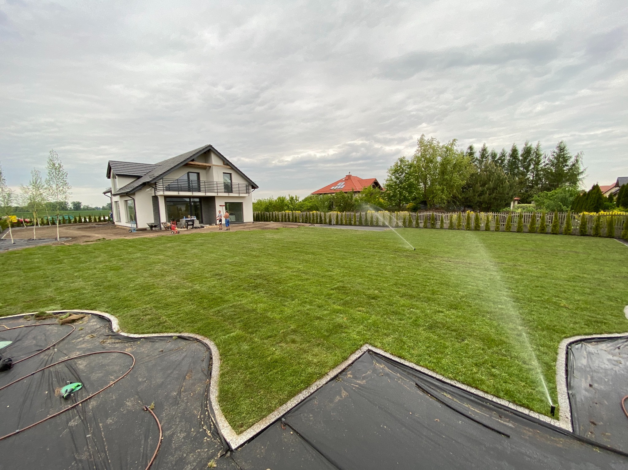 Rozległy trawnik nawadniany przez automatyczny system zraszający, widoczny dom z nowoczesną architekturą w tle, oraz fragment przygotowanej rabaty z obrzeżem i rozłożoną agrowłókniną.