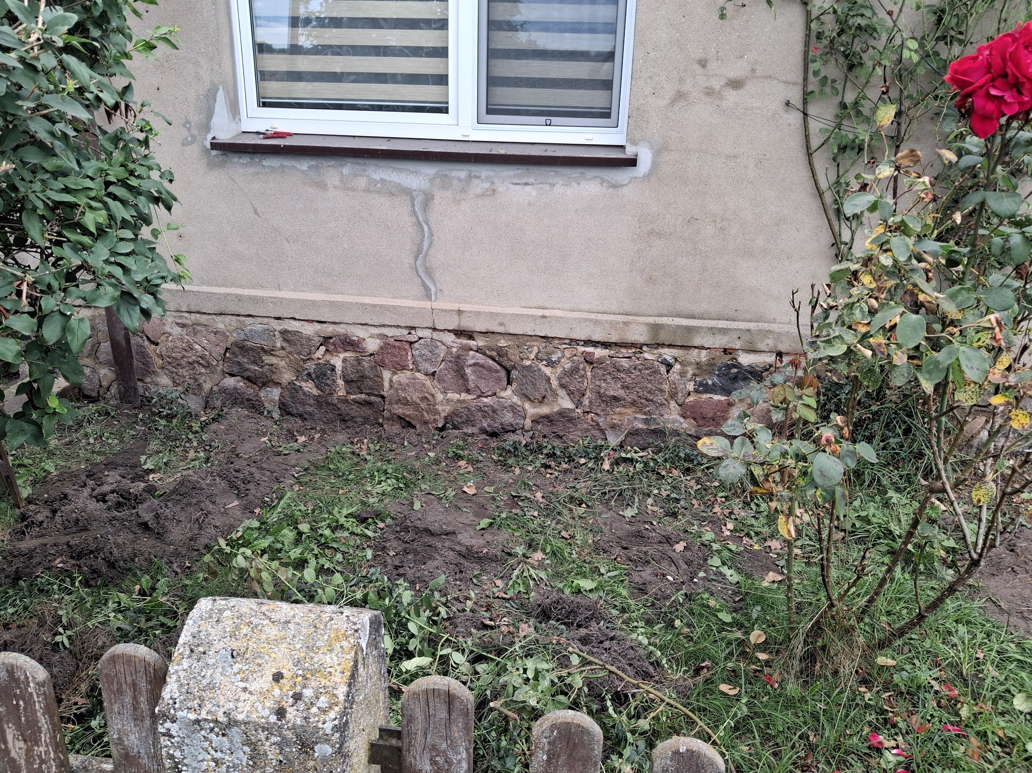 Fragment elewacji budynku z oknem i kamienną podmurówką, obok rabata z przekopaną ziemią i roślinnością. Widoczne ślady naprawy elewacji pod oknem.