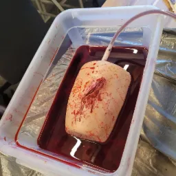 Manekin z symulowaną raną ciętą w pojemniku z imitacją krwi, używany podczas szkoleń z pierwszej pomocy.