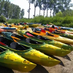 Rząd kolorowych kajaków z wiosłami na piaszczystym brzegu, przygotowanych do spływu kajakowego.