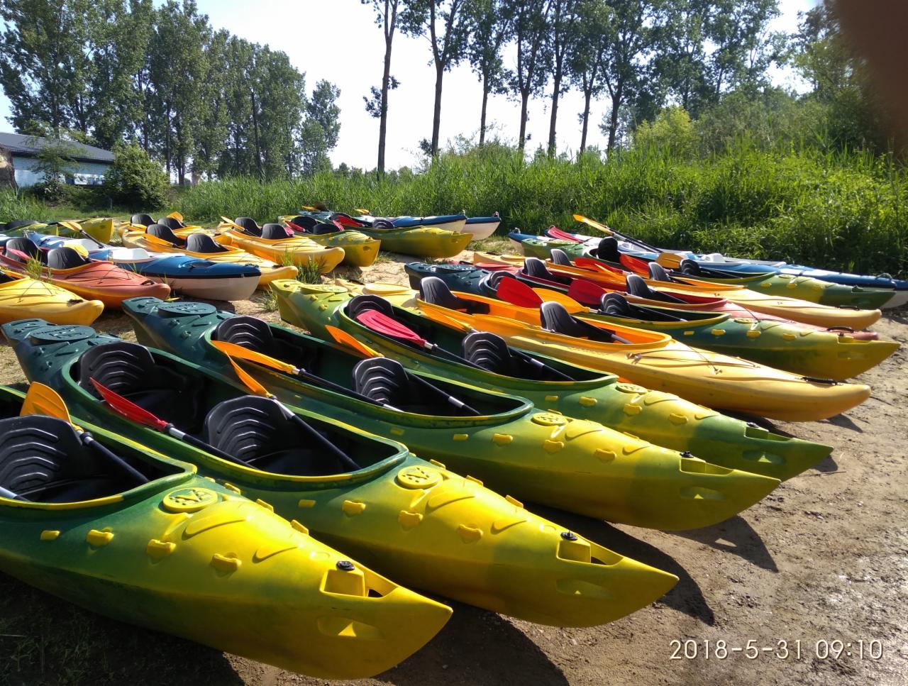 Rząd kolorowych kajaków z wiosłami na piaszczystym brzegu, przygotowanych do spływu kajakowego.