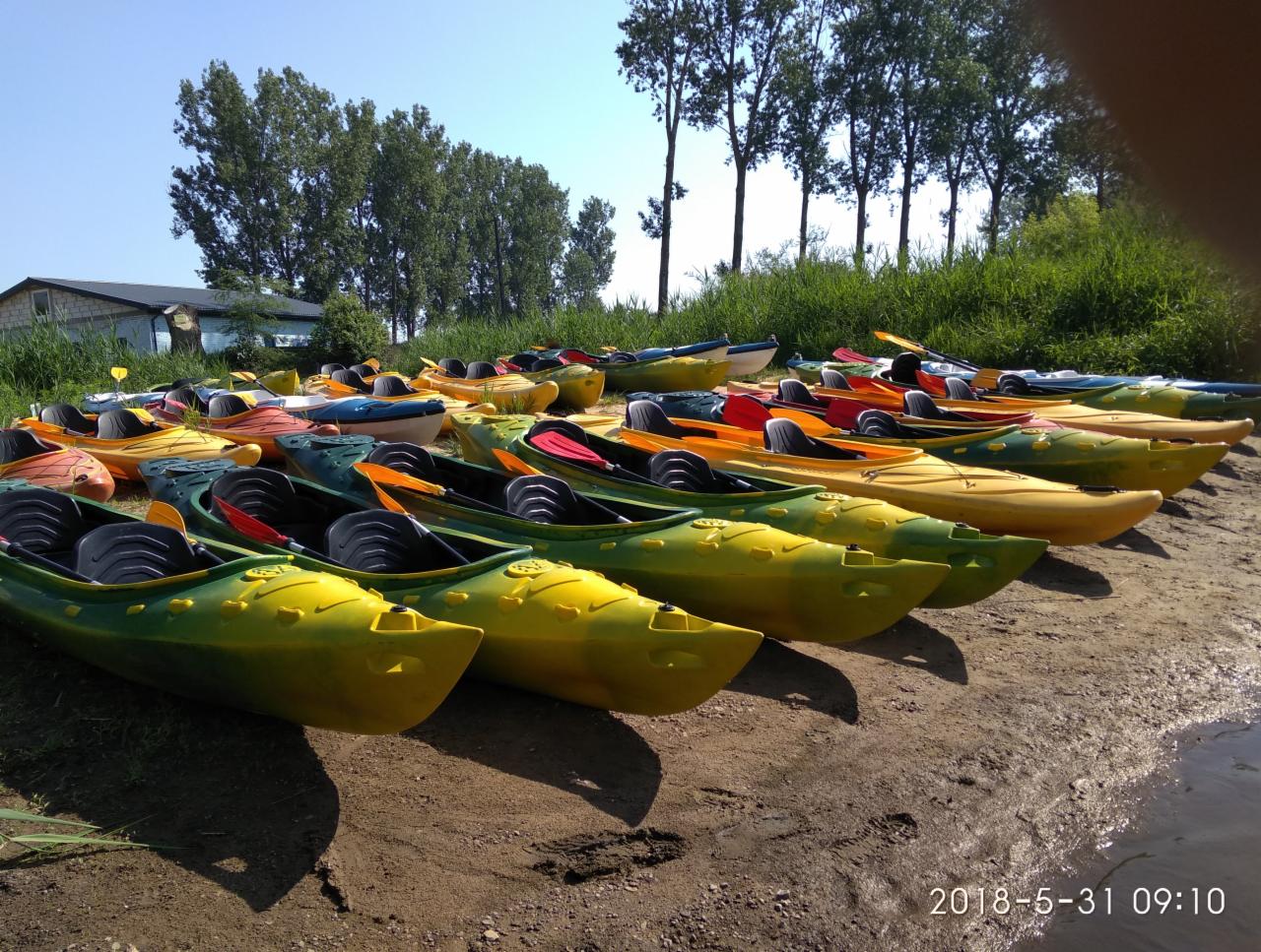 Rząd kolorowych kajaków, głównie żółtych i zielonych, z czarnymi siedzeniami i wiosłami, ustawionych na piaszczystym brzegu w Warce, gotowych do spływu.