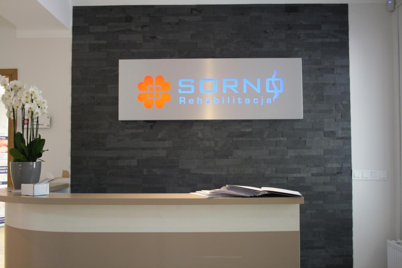 Recepcja gabinetu rehabilitacji z podświetlanym logo na ścianie z kamienia łupkowego i białymi orchideami w szarej doniczce.