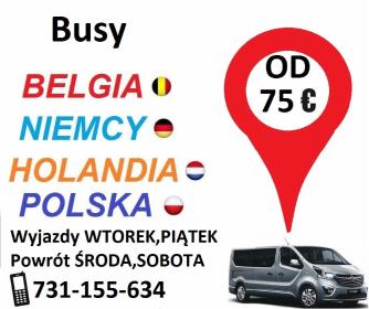 Raczek BUS - Transport Osób mołowiste 27