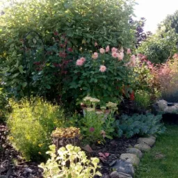 Bujny ogród z różnorodną roślinnością, w tym kwitnącymi daliami, ozdobnym oczkiem wodnym z kamieniami i obrzeżem z kamieni polnych.