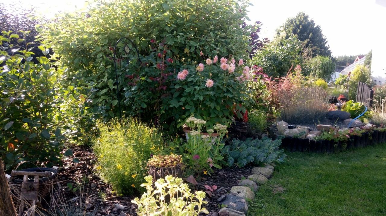 Bujny ogród z różnorodną roślinnością, w tym kwitnącymi daliami, ozdobnym oczkiem wodnym z kamieniami i obrzeżem z kamieni polnych.