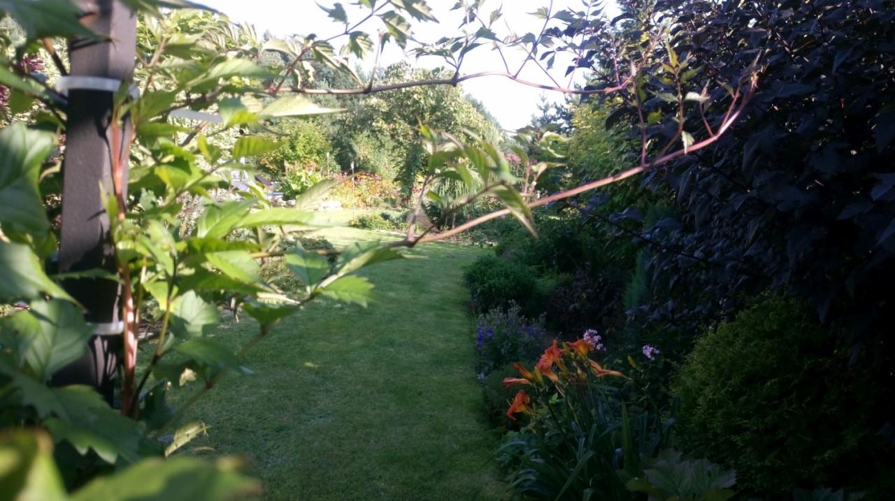 Widok na zadbany trawnik z perspektywy zarośli i pnączy, z pomarańczowymi liliami w pierwszym planie.