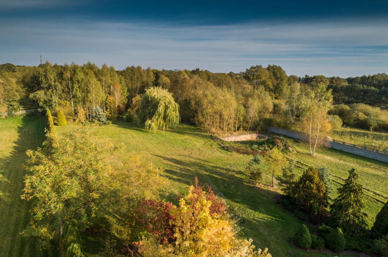 Rozległy, jesienny krajobraz z zielonym trawnikiem, drzewami o różnych odcieniach żółci i zieleni, oraz betonowym ogrodzeniem w tle, widziany z góry.