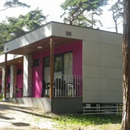 Nowoczesny, parterowy dom modułowy z jasnoszarą elewacją i intensywnie różowymi ścianami na tarasie, otoczony sosnowym lasem.