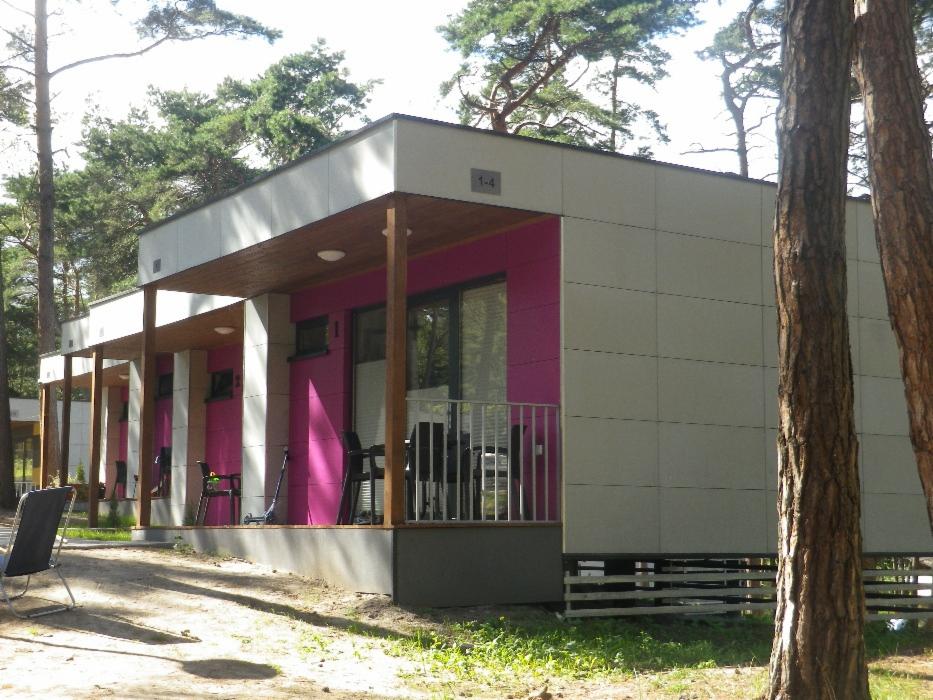 Nowoczesny, parterowy dom modułowy z jasnoszarą elewacją i intensywnie różowymi ścianami na tarasie, otoczony sosnowym lasem.