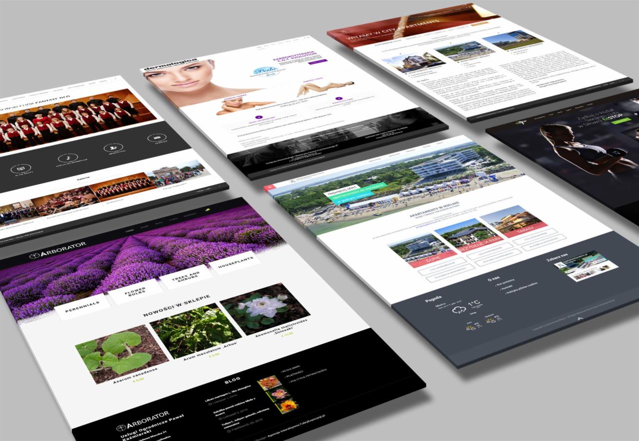 Profesjonalne strony internetowe