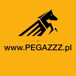 Studio Pegazzz - Reklama Graficzna Kraków