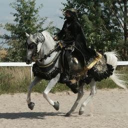 Tomasz Krzyczkowski - Biały koń arabski w bogato zdobionym czarno-złotym stroju i jeździec w czarnym stroju z zasłoniętą twarzą w ruchu na piaszczystym terenie.