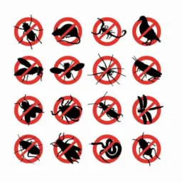 Zbiór szesnastu ikon przedstawiających różne szkodniki i gryzonie, przekreślonych czerwonym okręgiem z ukośnikiem, symbolizujących zakaz lub kontrolę populacji.