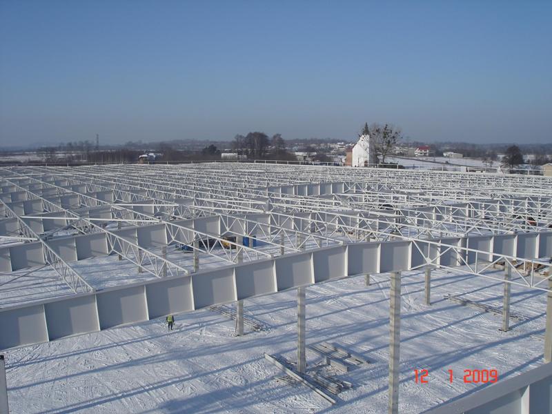 Wykonanie i montaż konstrukcji stalowych